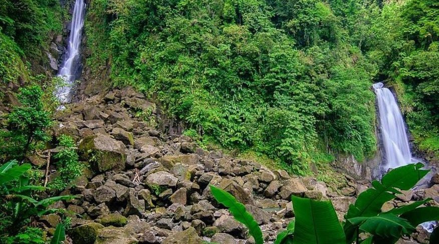 Papillote Tropical Gardens, Near Wotten Waven, Dominica